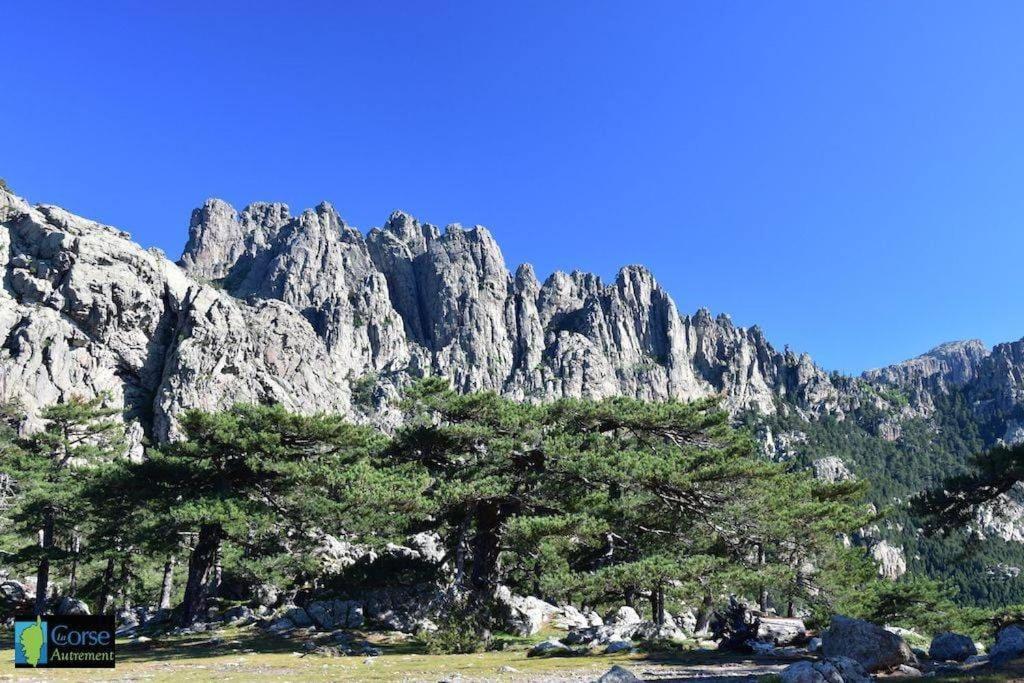 Villa Vista Mare 11 Favone Conca Bagian luar foto