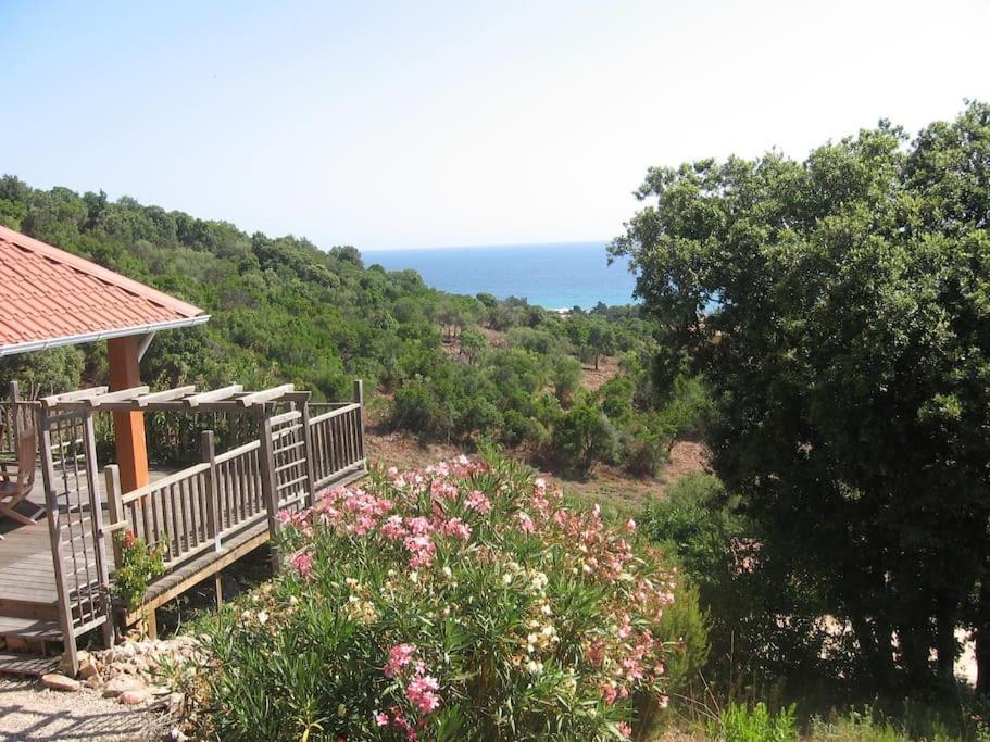 Villa Vista Mare 11 Favone Conca Bagian luar foto